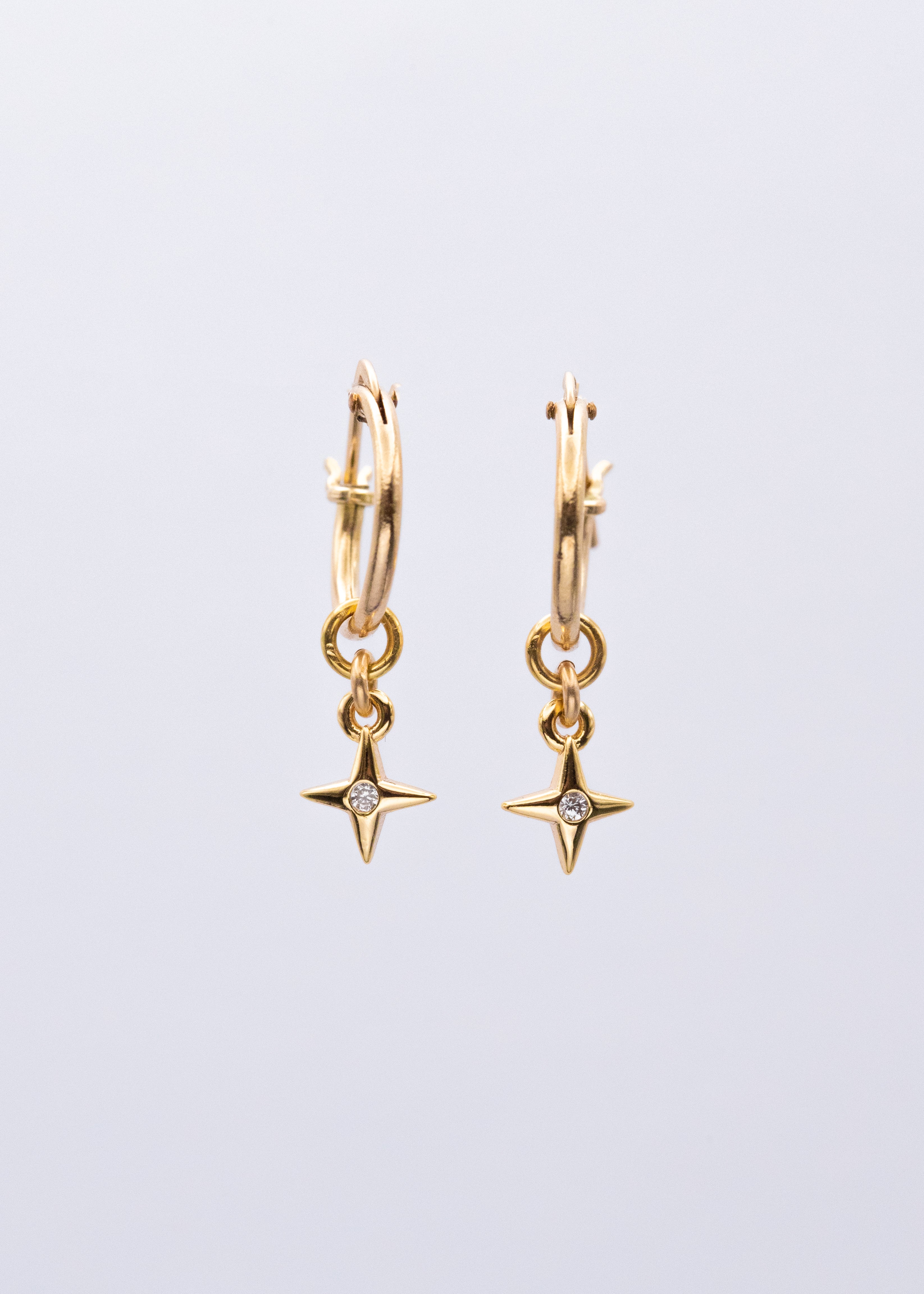 Anneaux Guida (22A-102)